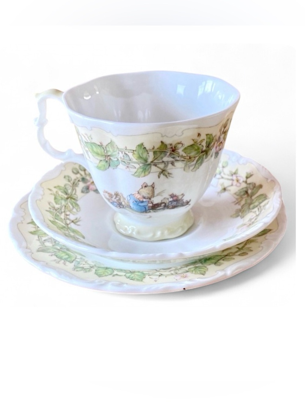 Royal Doulton Brambly Hedge Spring Tea Cup Saucer Plate Set NIB 1982 England